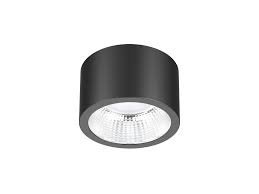 Hing Surface Mount Light